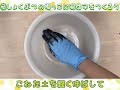 【作り方動画】つくろう！そだてよう！苔玉キット