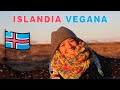 Intenté ser VEGANA en ISLANDIA (¿Fail or success?)