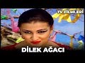 Dilek Ağacı - Kanal 7 TV Filmi