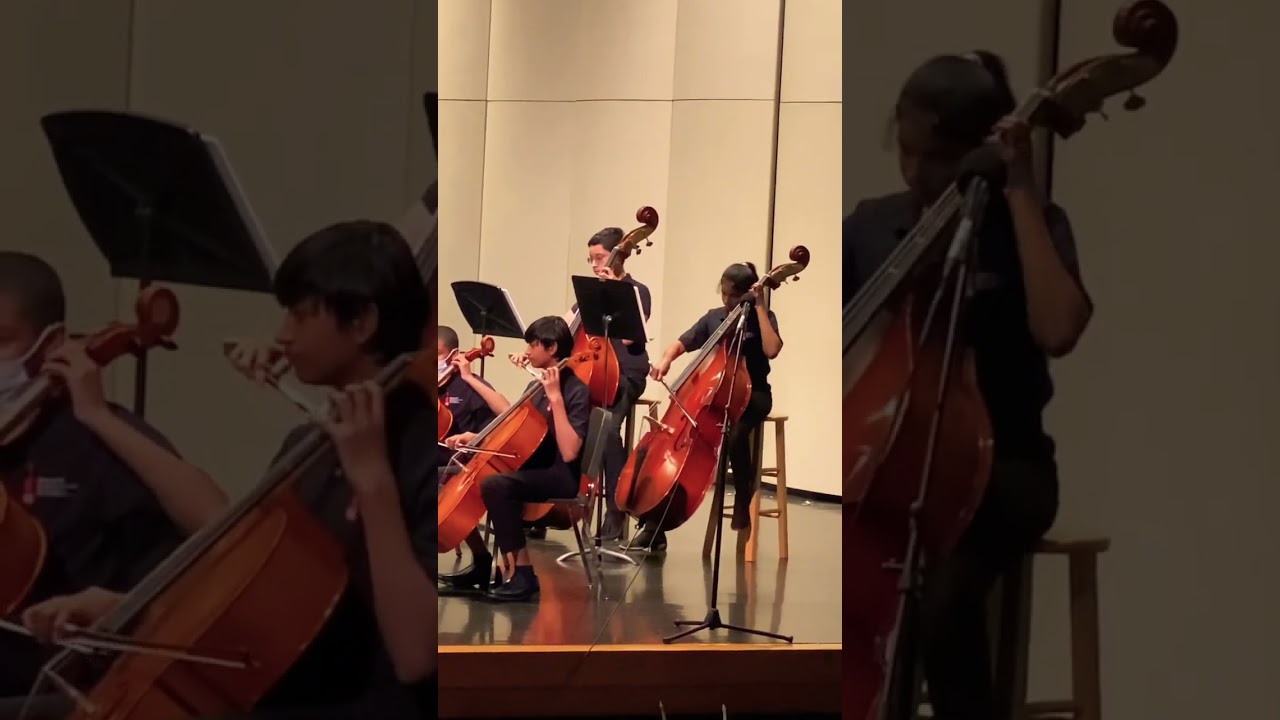 Music concert in middle school | Mini | kids did a great job 