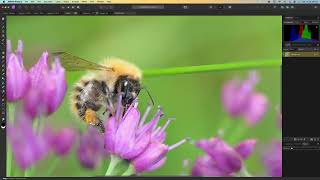 Object Removal with Affinity Photo 2 Inpainting Brush Tool