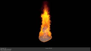 TYM Fire Test