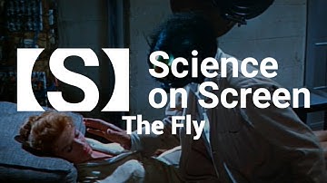 Limits of teleportation through an exploration of the ‘No Cloning’ Theorem