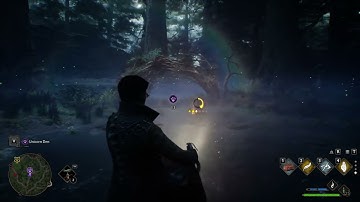 Hogwarts Legacy How To Get UNICORN / How To Tame - Catch Unicorns   And Unicorn Den Location