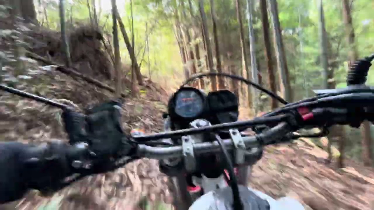 通称「奥の院裏山林道」下部〜上部　2025年4月　XR600