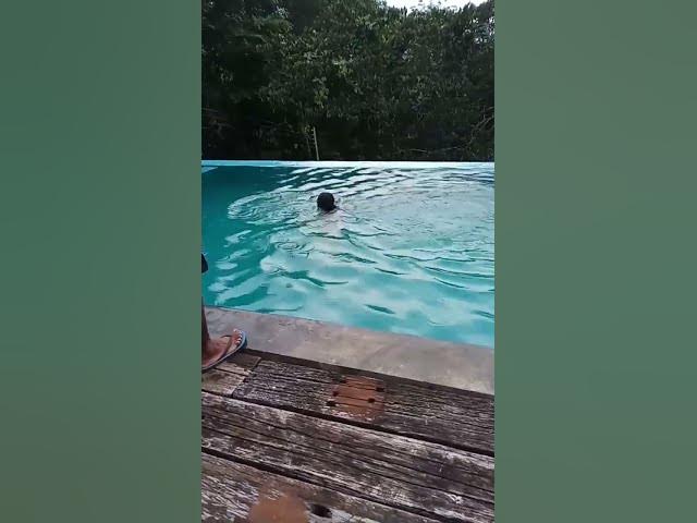 ලස්සන Swimming Pool 🌊         #Joseph and Amali #Short #video