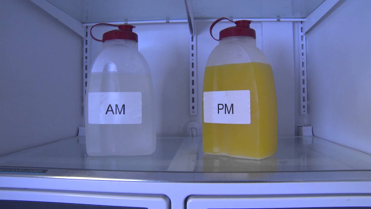 Help Catch a Killer -- Colon Cancer Awareness Video