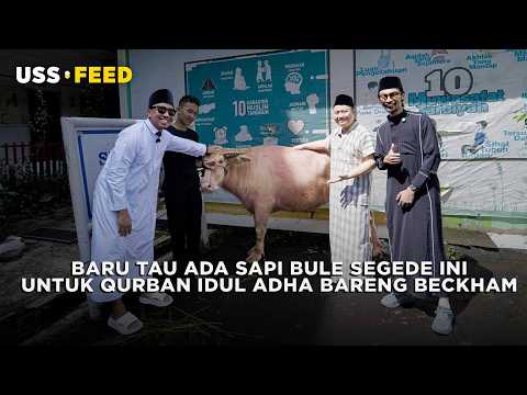 QURBAN IDUL ADHA BARENG BECKHAM SAPI BULE GEDE  | #GENGGOL Jejouw, Rico Lubis & Ardan Achsya