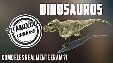 Como era a real aparência dos dinossauros?