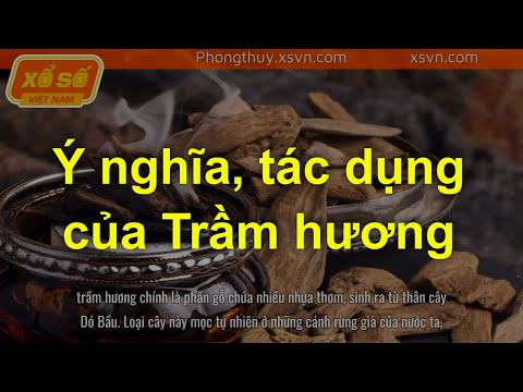 Video: Lời khuyên khôn ngoan của nhà khoa học người Siberia - nhà thảo dược Lydia Surina