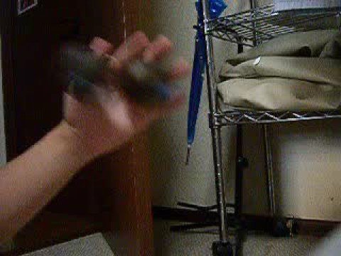 ハングフリップ