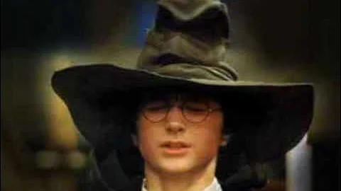 Forbidden Journey queue - Sorting Hat (audio only)