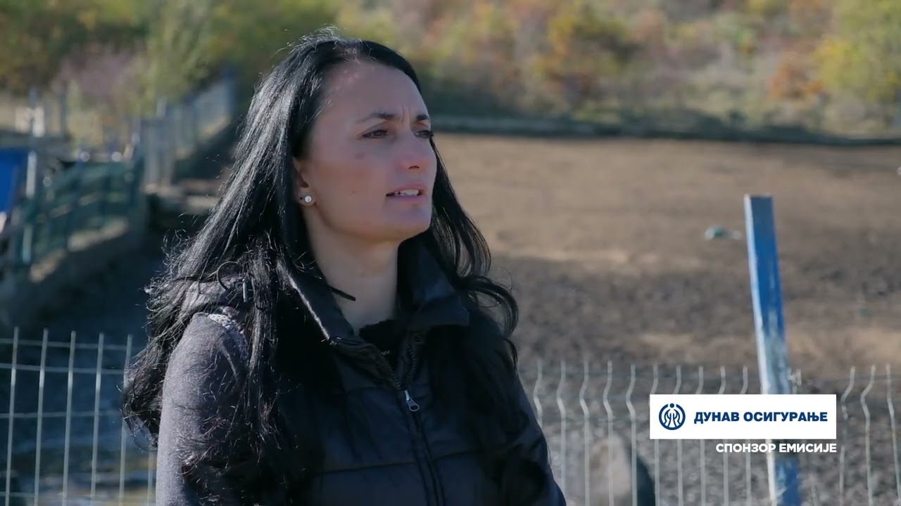 Složno, uspešno! ep. 246 03.12.2024. Farma mangulica, Dobra Voda, Bojnik, Radan