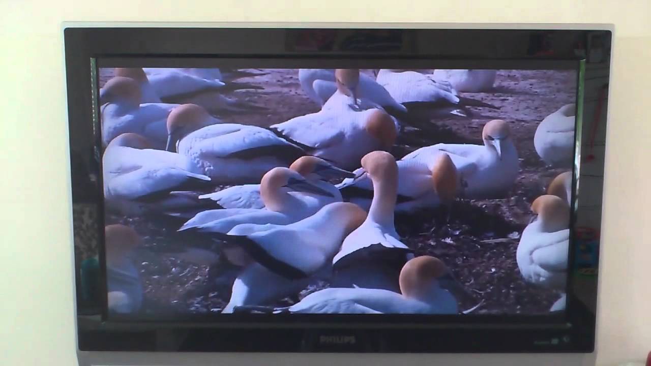 Raspberry Pi playing HD pre-review @ Tweakers.net