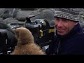 Fantastic 16mm footage of a wildlife cameraman encountering king penguins