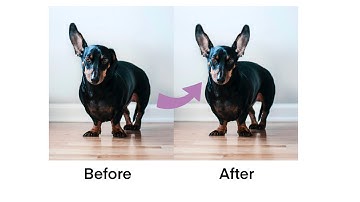 Photoshop an image in procreate using the clone tool EASY #procreatetutorial #photoshopinprocreate