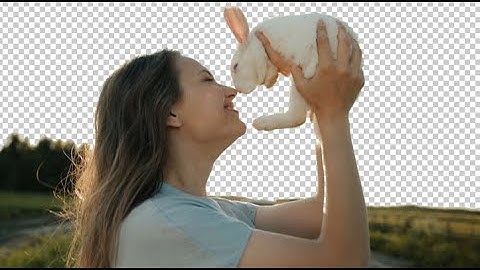 [프리미어] 가장 쉽고 빠르게 영상의 배경을 투명으로 만드는 방법