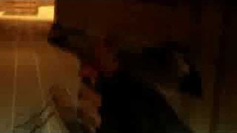 CS:S| LegeND 1v5 Clutch!