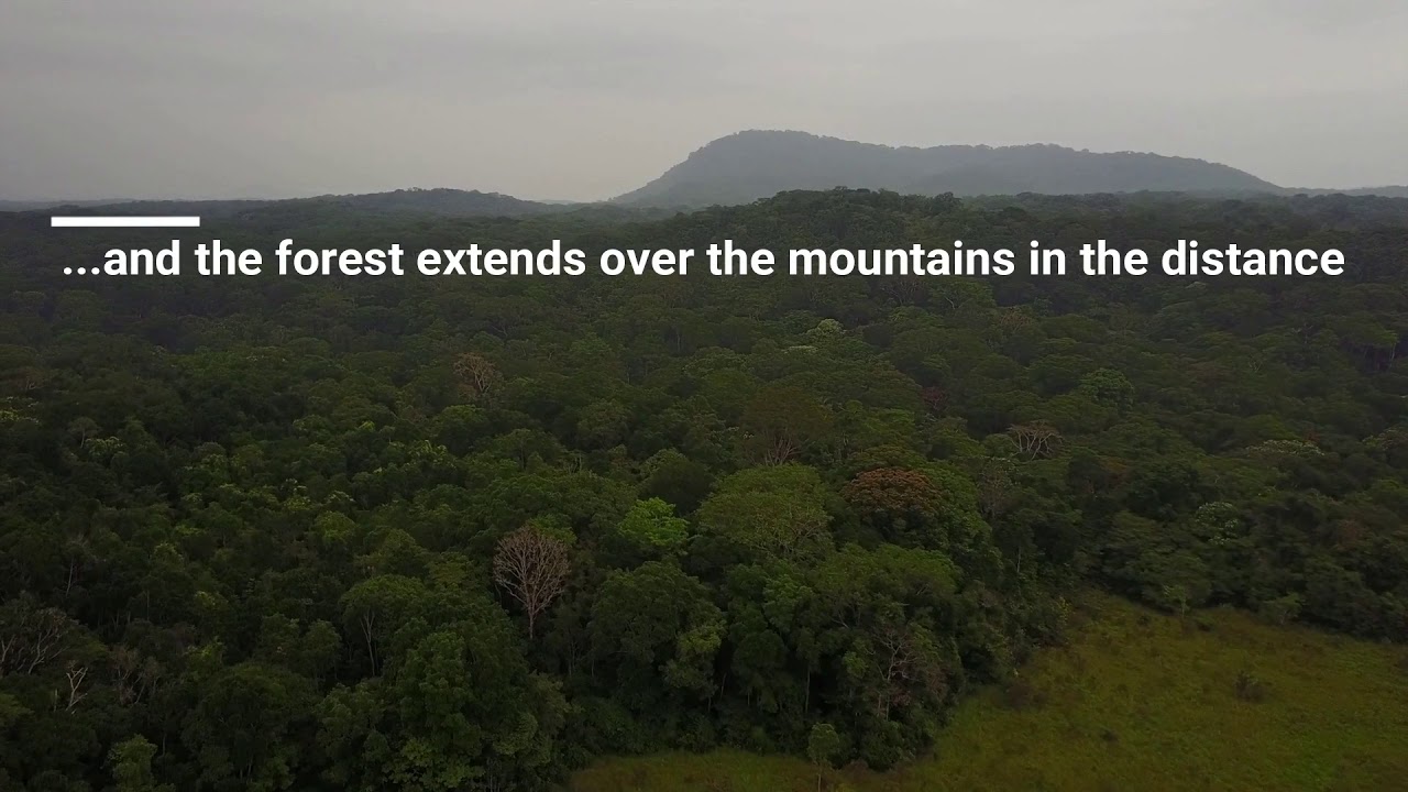 Lopé National Park, Gabon - YouTube