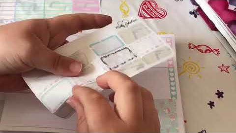 Plan With Me travelers notebook