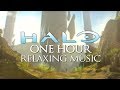 One Hour of Relaxing Halo Music with Nature Sounds & Birdsong