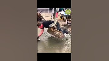 Perfect Cuts. Perfect Finish. Smart Work! #motivationalvideo