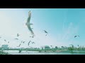 「未知」MV／Claíomh Solais〜クラウソラス〜