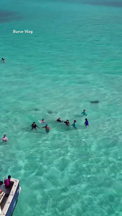 https://youtu.be/JXYqvDMNhjE?si=zgSHMcsAU_7LyHTT
