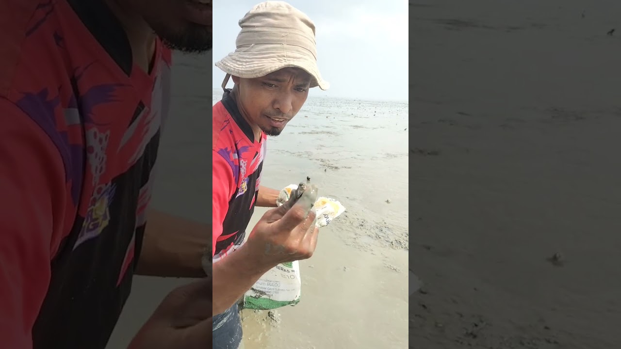 Mencari kerang di pantai #vlogger #bolaang #vlogharian 