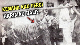 Jejak Kepunahan Harimau Bali, Mengenal Harimau Bali Lebih Dalam