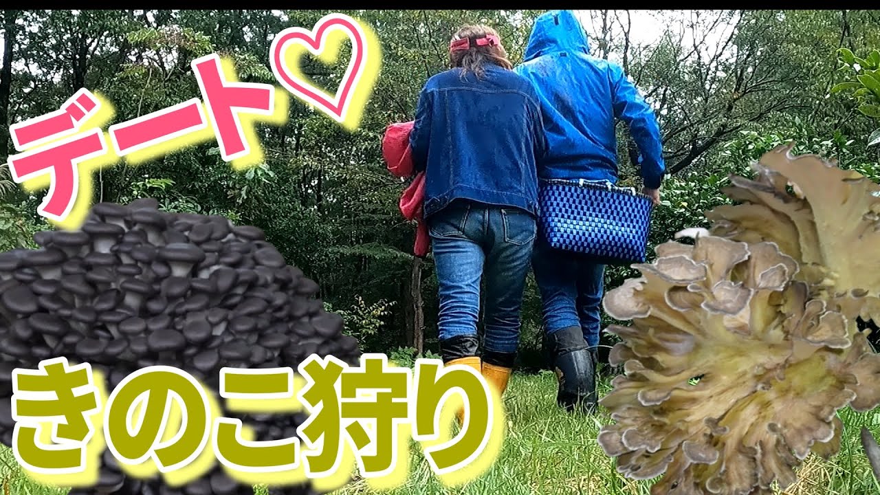 This is your last resort when you can't find wild mushrooms! - YouTube