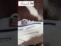 كوتشي فيلا ب55  مشتريات التوفير  انت عارف مع نادين 2023