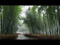 🎵 放鬆 ｜ 放鬆音樂 · 中國古典 30 Min Chinese Classical Relaxing Music