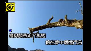 孤栖-KTV0541