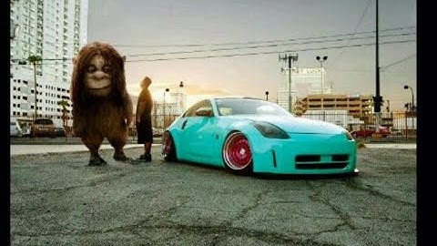 WHERE THE WILD THINGS CAR