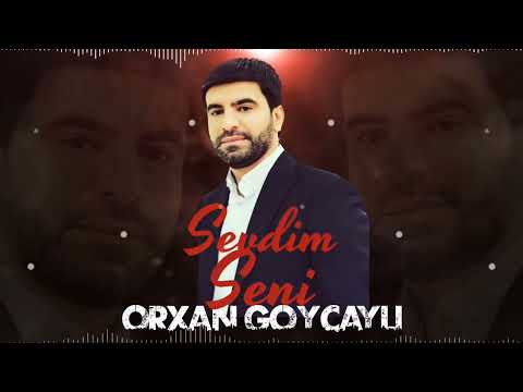 Orxan Goycayli - Sevdim Seni 2022 (Yeni Mahni)