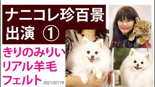 ナニコレ珍百景出演 ① きりのみりいリアル羊毛フェルト 犬猫　2021/7/18