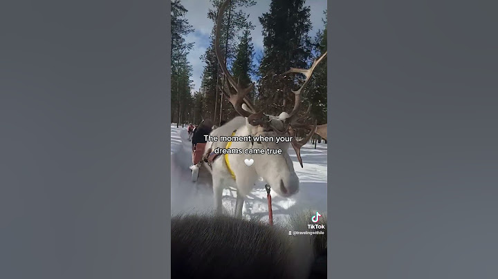 #shorts #travel #lapland