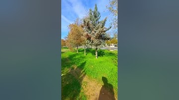 الشيخ ابوالفتوح حسن البساتيني التلاوات الذهبيه سورة الفاتحة وأول سورة البقرة إلى الايه25