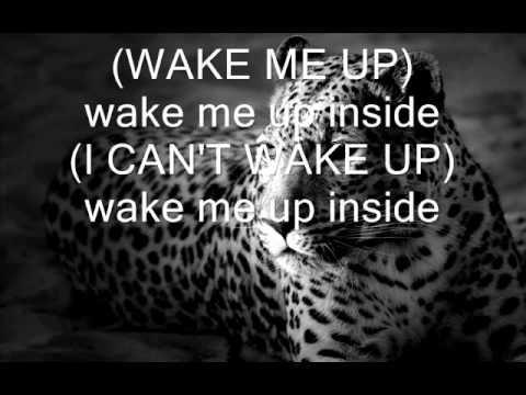wake me up inside lyrics youtube