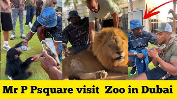 Mr P Psquare and Anthony Joshua Visits Zoo Dubai After Performing Psquare Old Songs