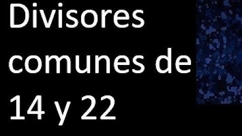 Divisores comunes de 14 y 22 . simultaneamente dividan a
