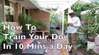 How To Train Your Dog in 10 mins a Day