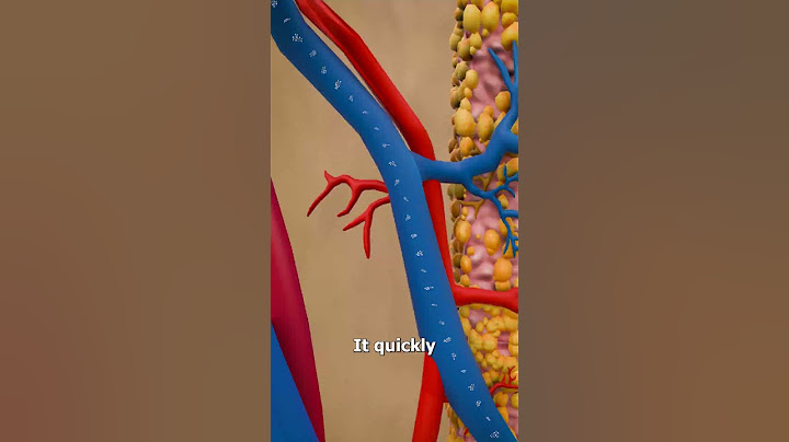 How A Nicotine Patch Works 🤔