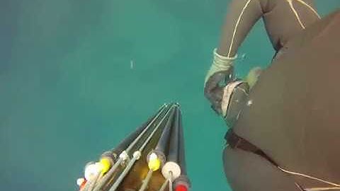 B Daniel polispast invert roller. Awesome shot performed on a 4.7kg grouper by Yaniv Cohen