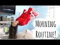 Morning routine for school