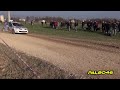 15° Prealpi Master Show 2013 - Pure Sound [HD]