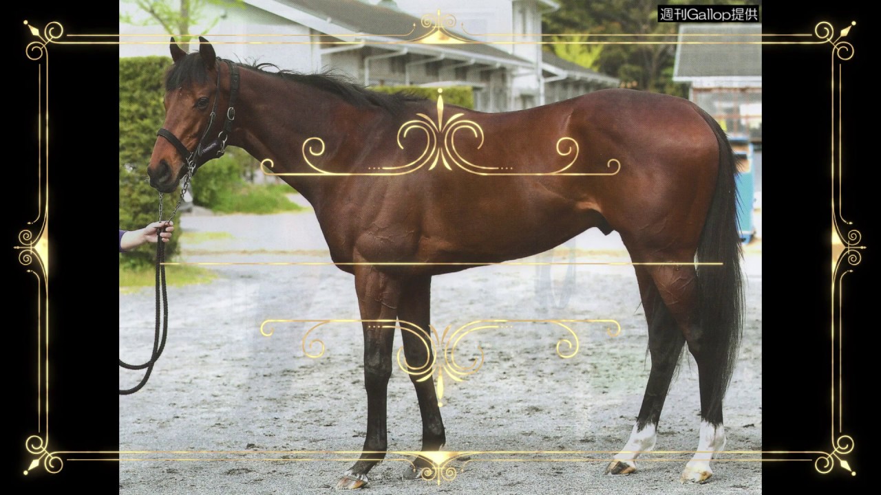 ステイヤーの首を見極める 天皇賞春出走馬馬体評価 Youtube