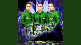 Video thumbnail of "Hijos De Leyva - Humo Trankilizante"