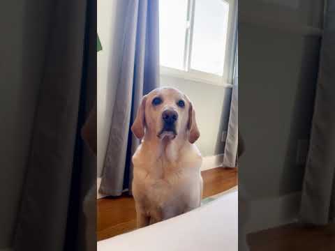 What to say instead of whats going on - The coach